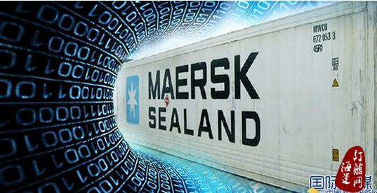 冷藏集装箱运输业引领航运数字化创新潮流-海运订舱网