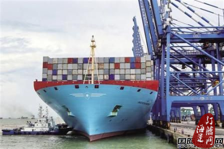 集运业争相拥抱电商-海运订舱网