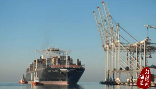 “MSC Paloma”成为进入亚得里亚海的最大箱船-海运订舱网